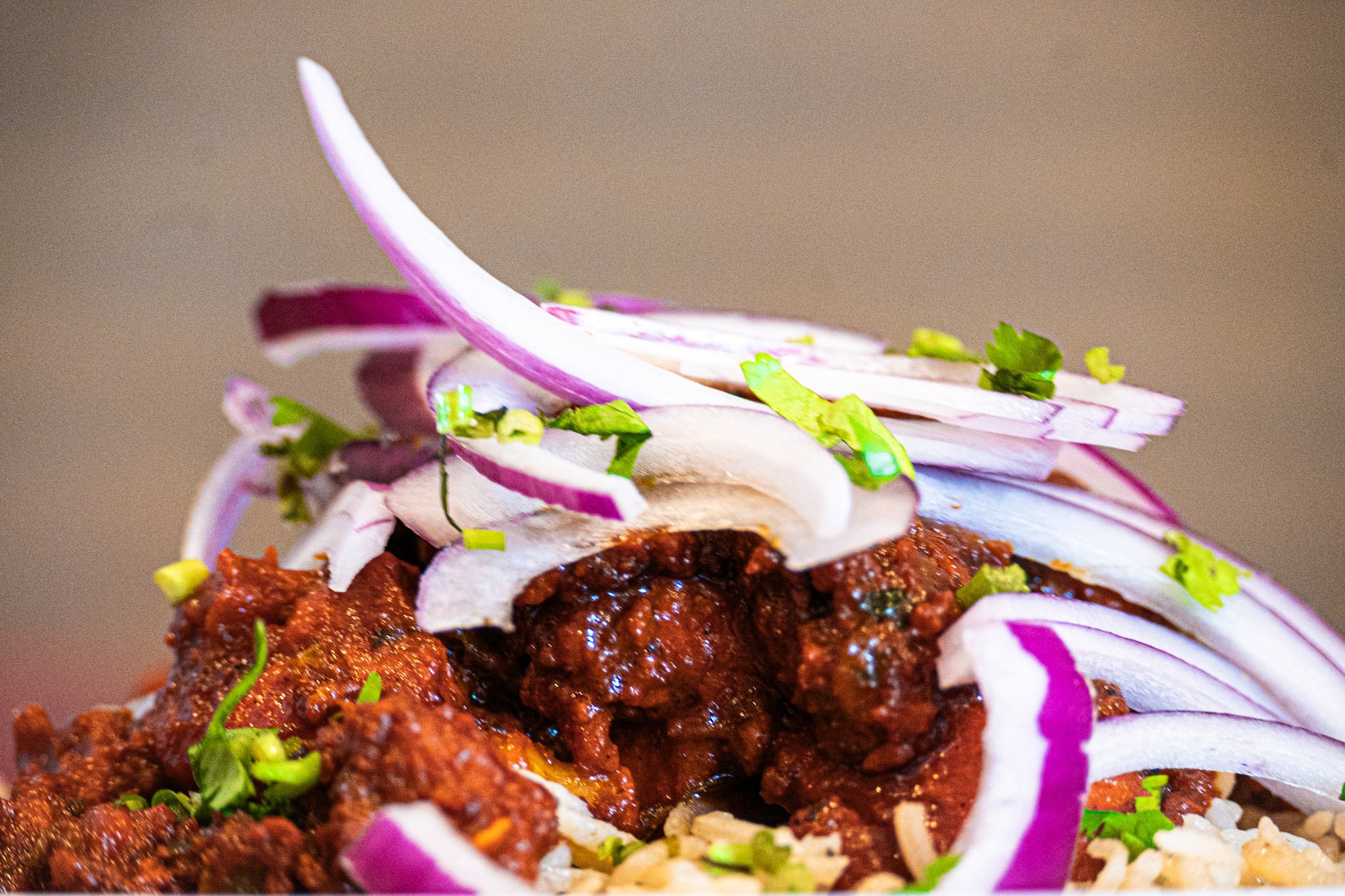 Lamb curry close-up â€” AHA South Indian Cuisine